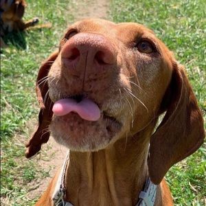 Meet your Posher, May